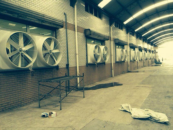 ؓ���L(f��ng)�C����